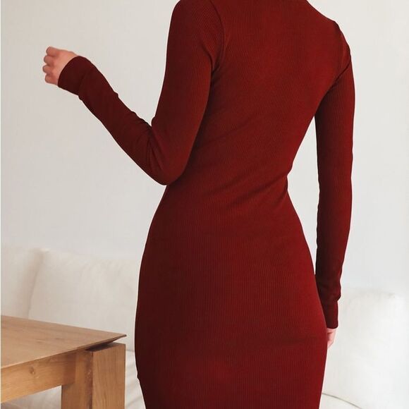 ✨ Go Beyond Basic Burgundy Ribbed Snap Front Bodycon Mini Dress✨ - Picture 4 of 9